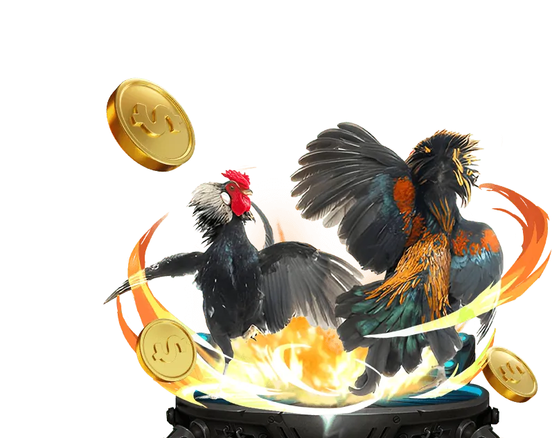 Sự Kiện & Giải Đấu Onbet66